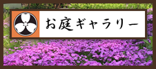 宮の森歯科診療所お庭ギャラリー